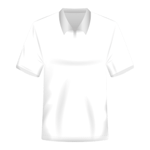 REMERA POLO